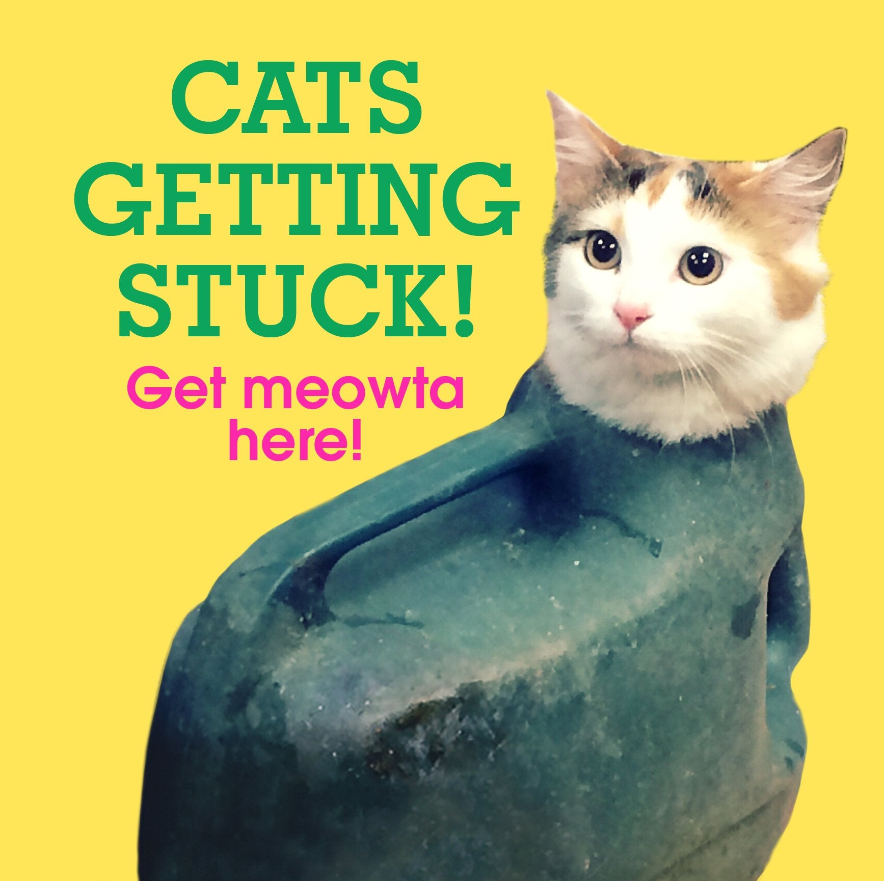 Cats Getting Stuck!,Used