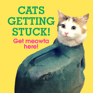Cats Getting Stuck!,Used