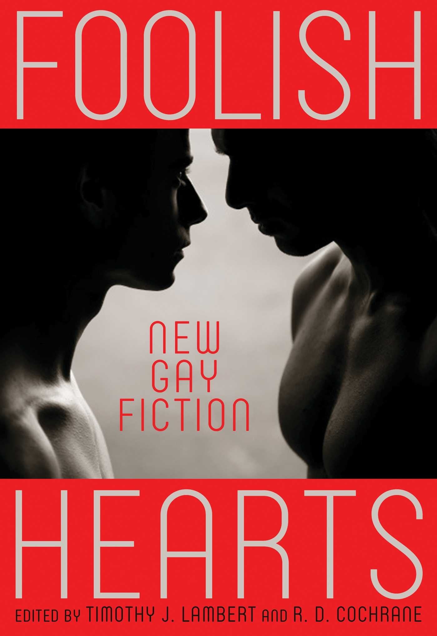 Foolish Hearts: New Gay Fiction,Used