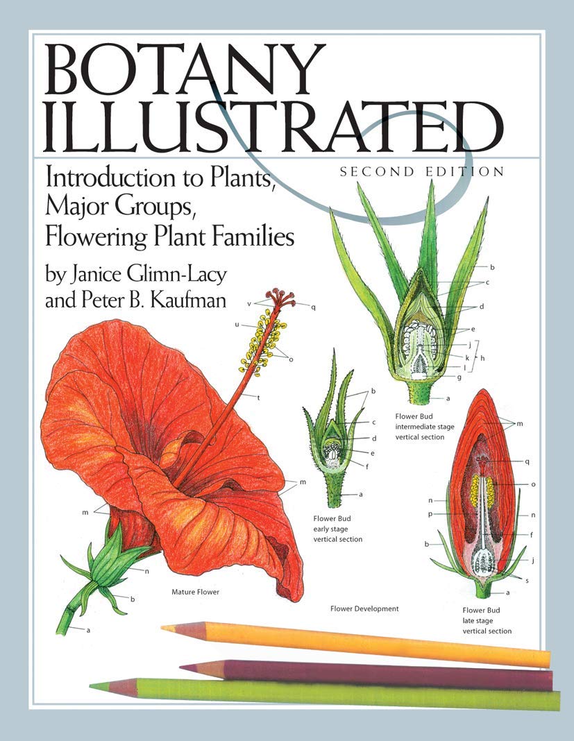 Botany Illustrated: Introduction To Plants, Major Groups, Flowering Plant Families