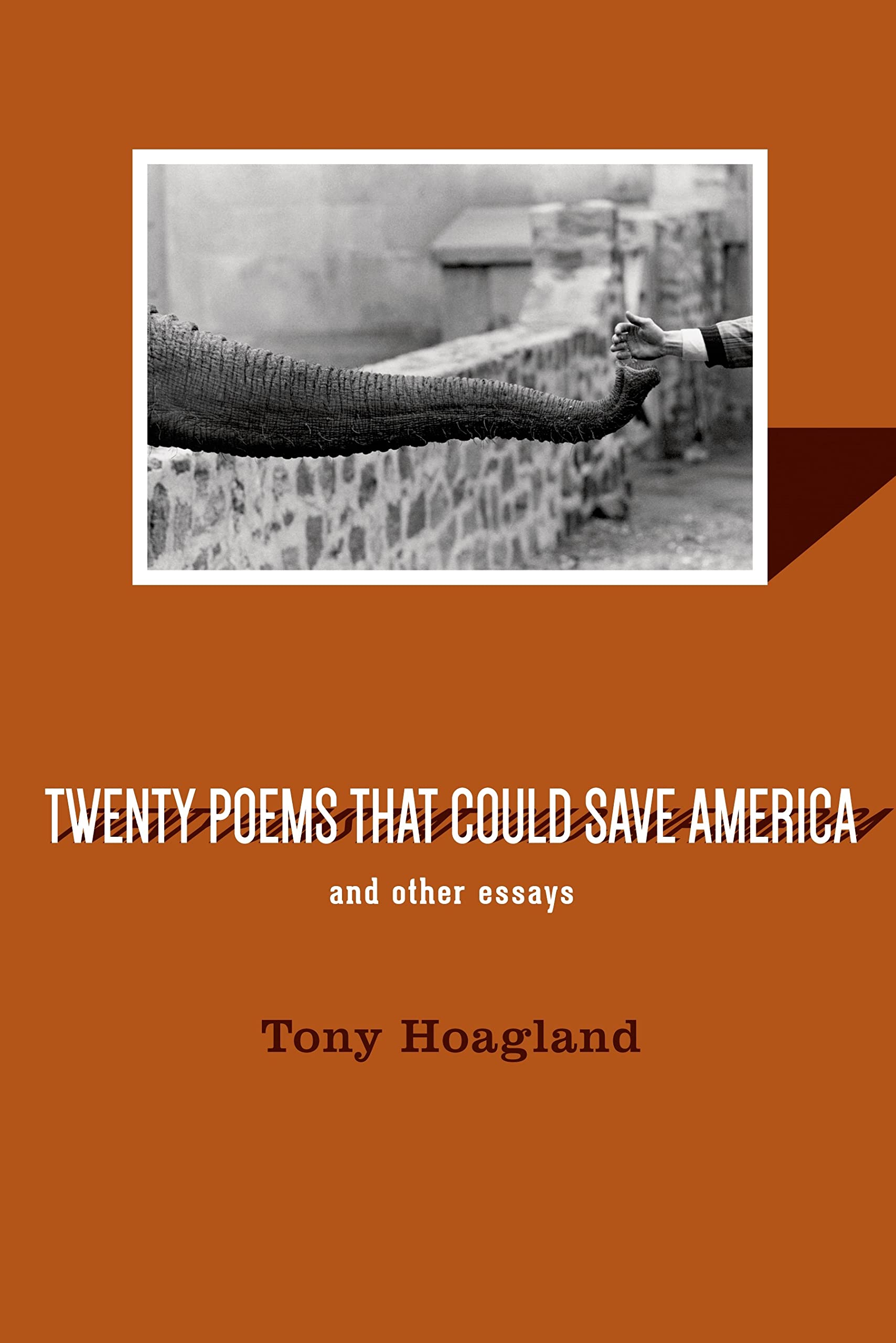 Twenty Poems That Could Save America and Other Essays,Used