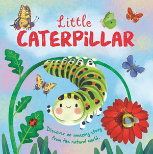 Nature Stories: Little Caterpillar: Discover Amazing Story From The Natural World! Padded Board Book,Used