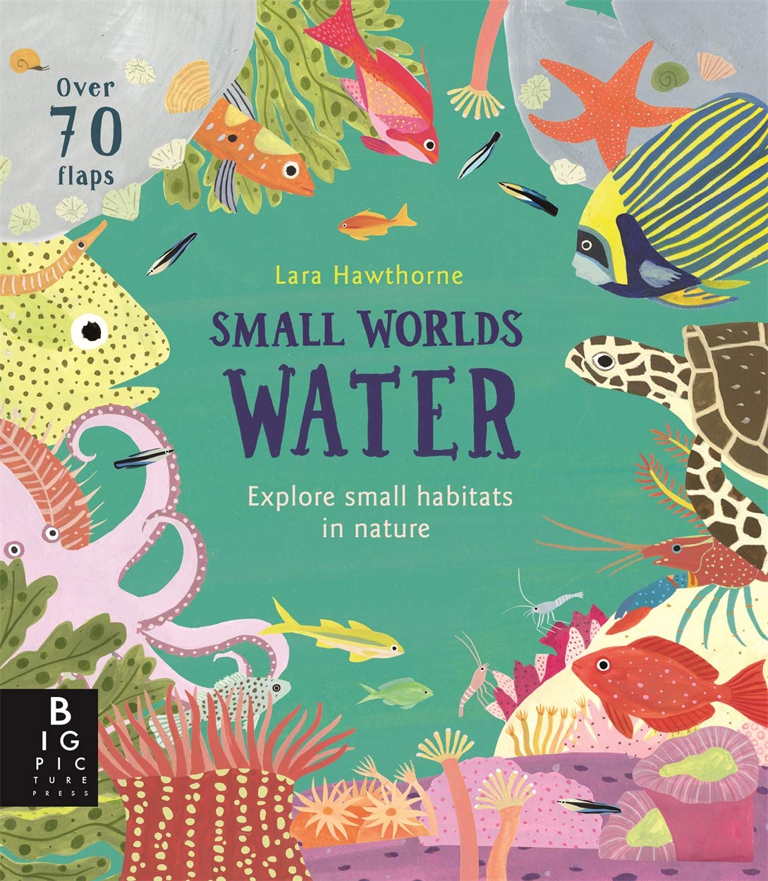Small Worlds: Water,Used