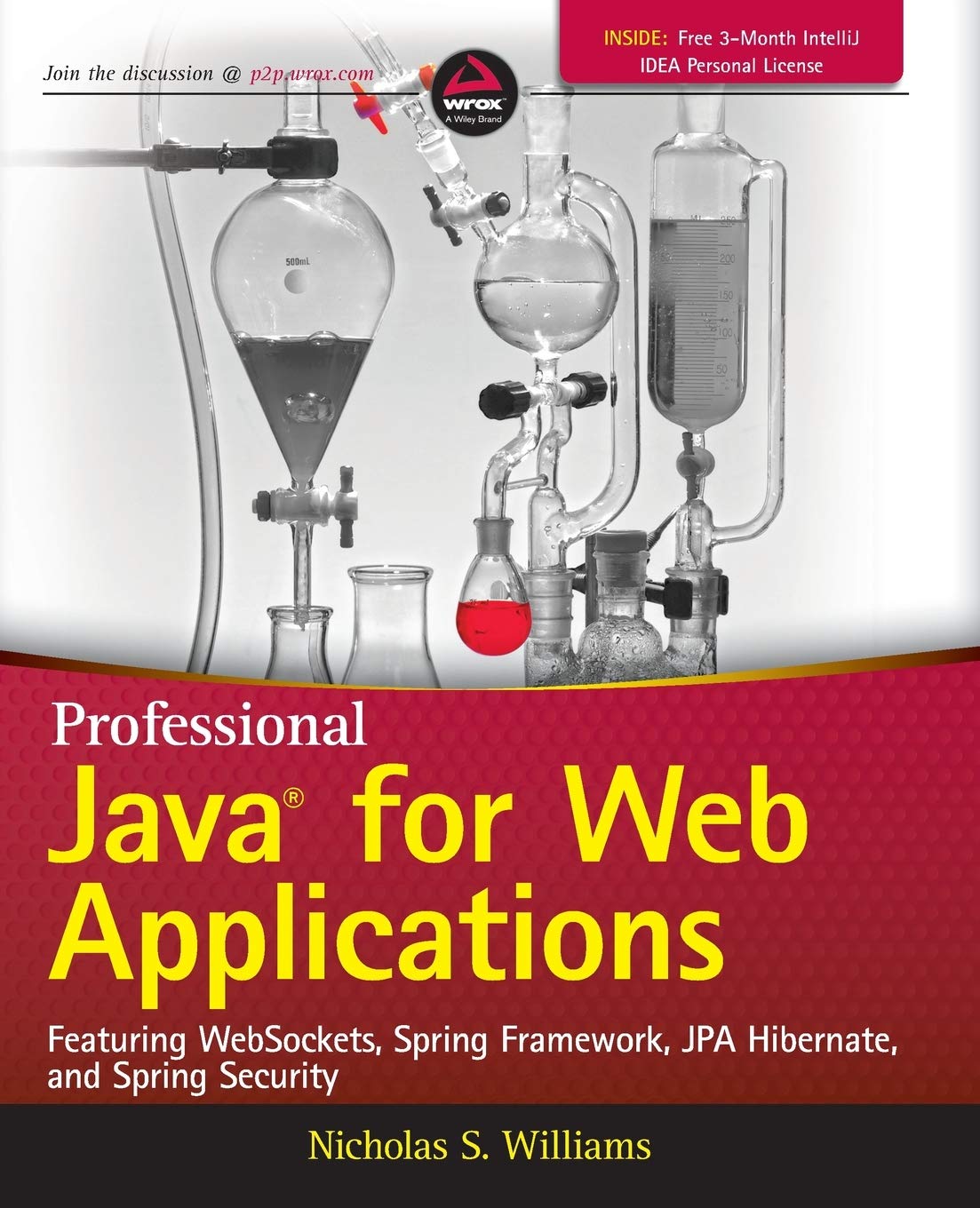 Professional Java for Web Applications,New
