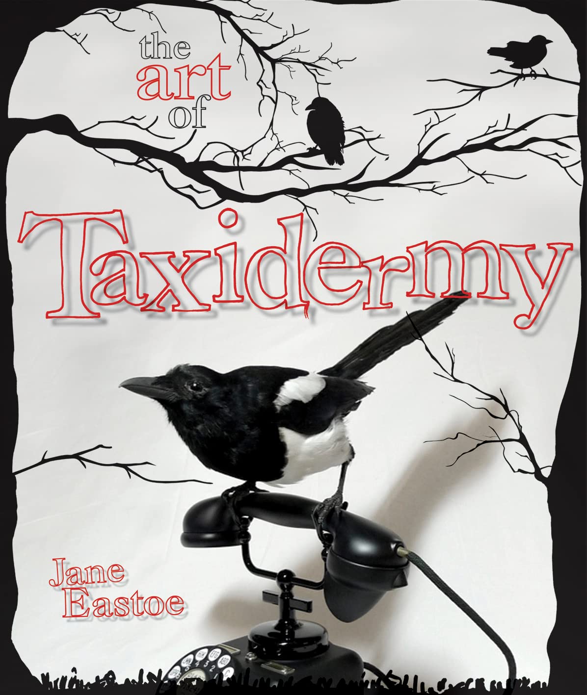 The Art Of Taxidermy,Used