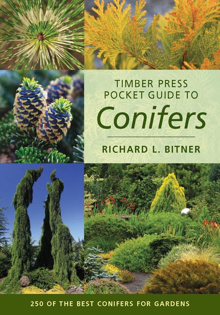 Timber Press Pocket Guide to Conifers (Timber Press Pocket Guides),Used