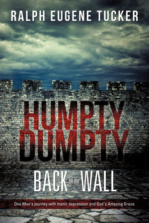 Humpty Dumpty Back On The Wall,Used