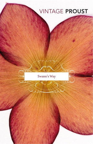 In Search of Lost Time: Swann's Way Vol 1 (Vintage Classics) [Paperback] [Dec 05, 1996] Marcel Proust,Marcel Proust,Used