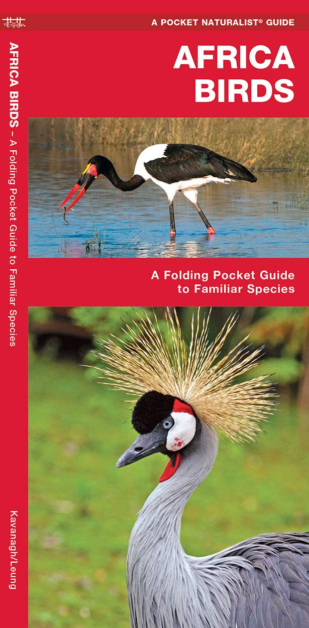 Africa Birds: A Folding Pocket Guide to Familiar Species (Wildlife and Nature Identification),Used