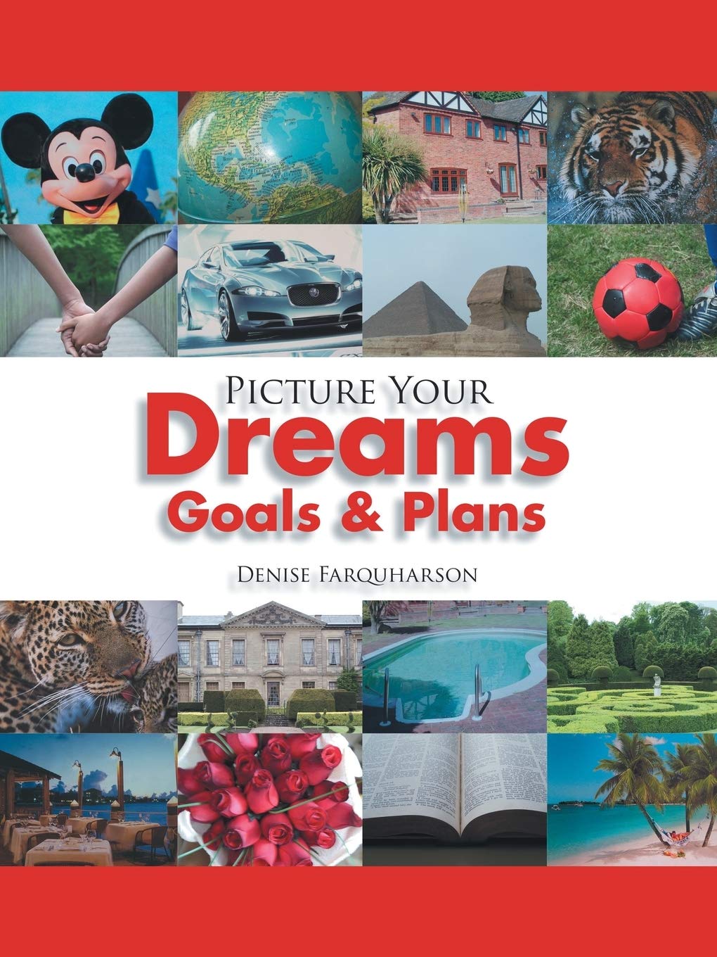 Picture Your Dreams Goals & Plans,Used