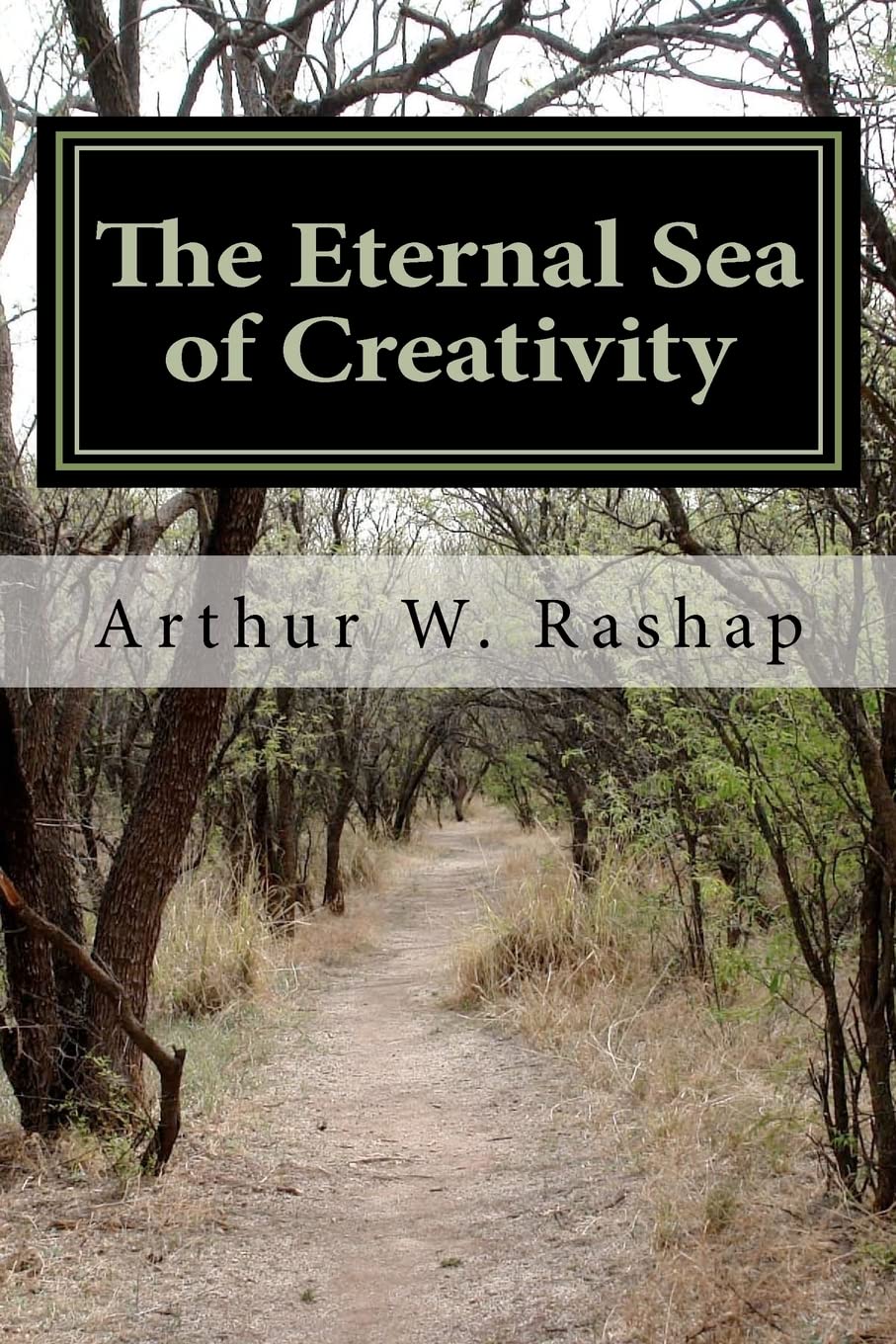 The Eternal Sea Of Creativity: Poems About Life, Love, And Why We Are 'Here',Used