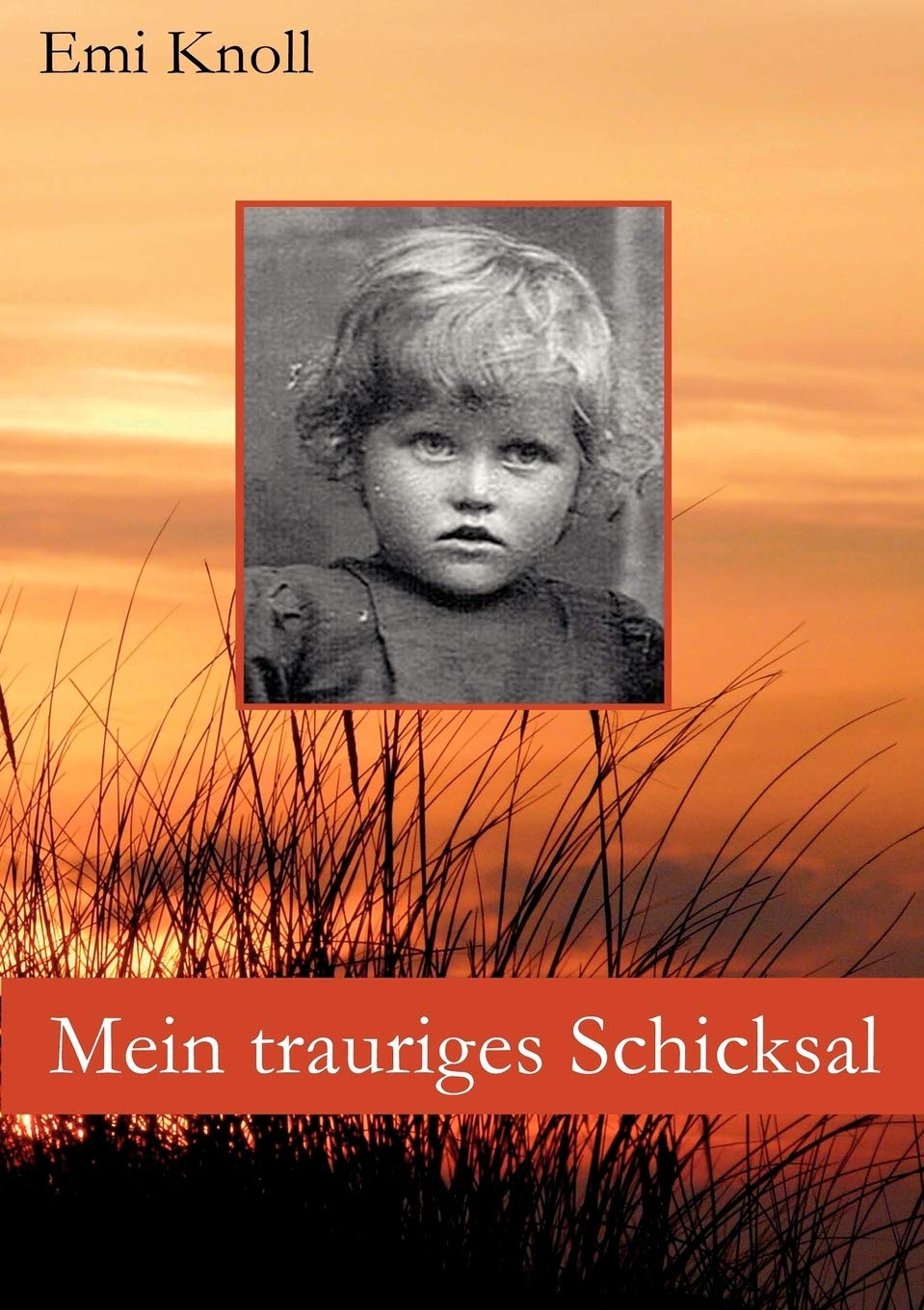Mein trauriges Schicksal (German Edition),Used