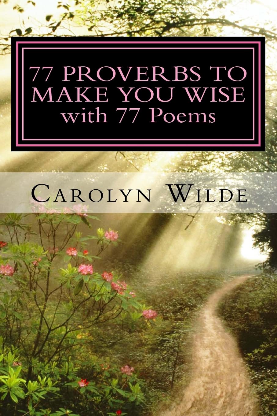 77 Proverbs to Make You Wise with 77 Poems (The Salt Shaker),Used