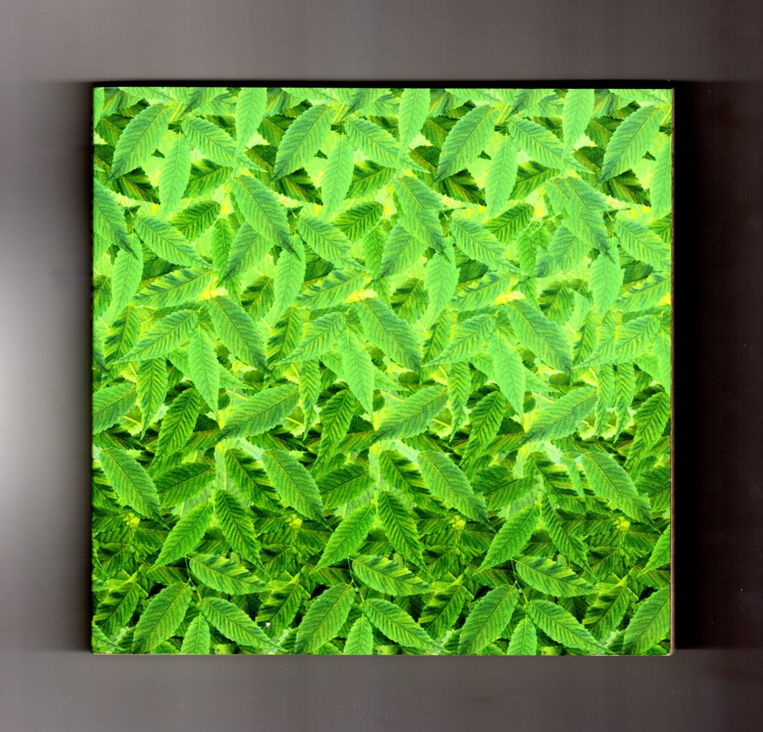 Super Stereogram,Used