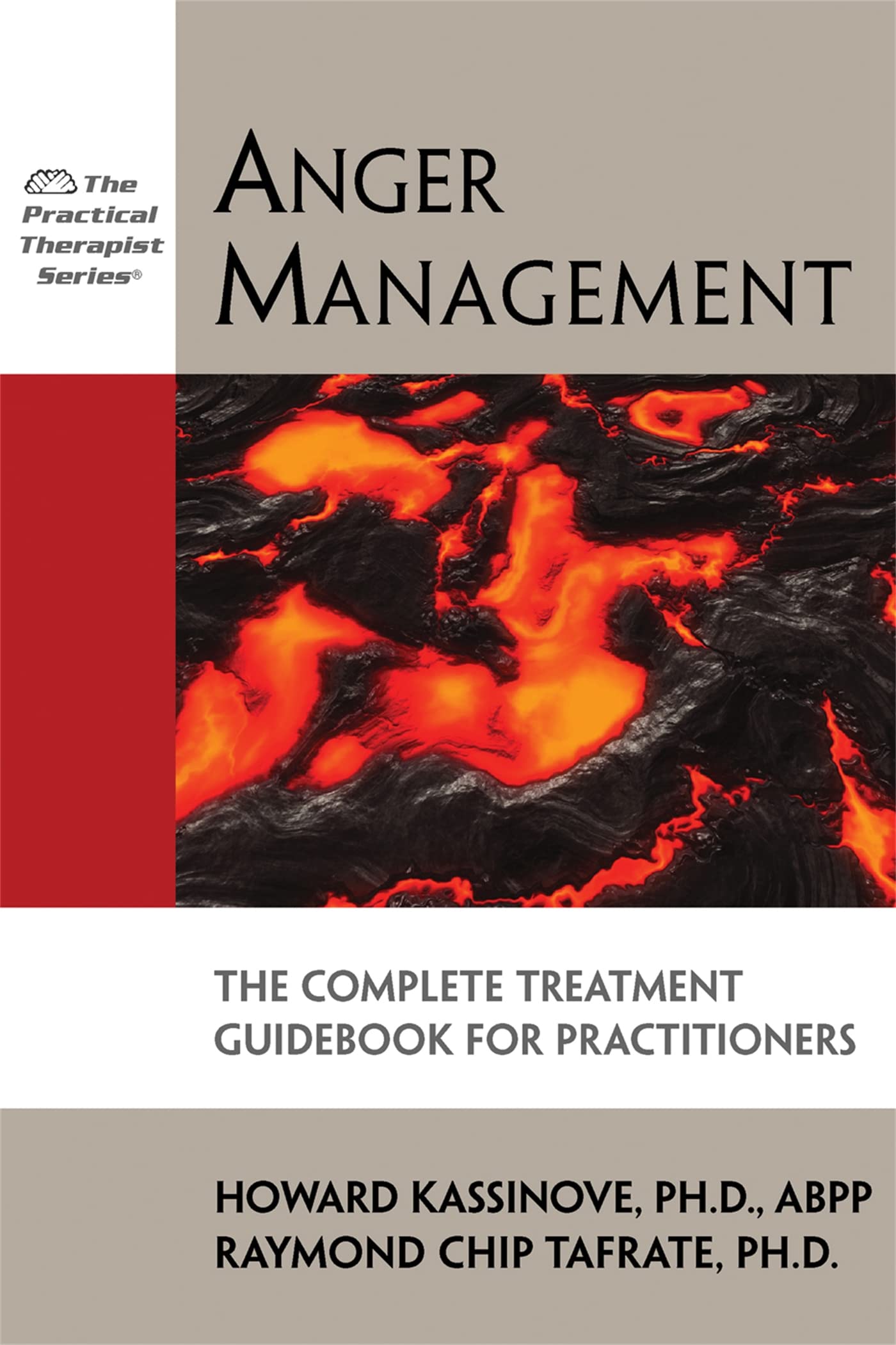 Anger Management: The Complete Treatment Guidebook for Practitioners (The Practical Therapist Series),New