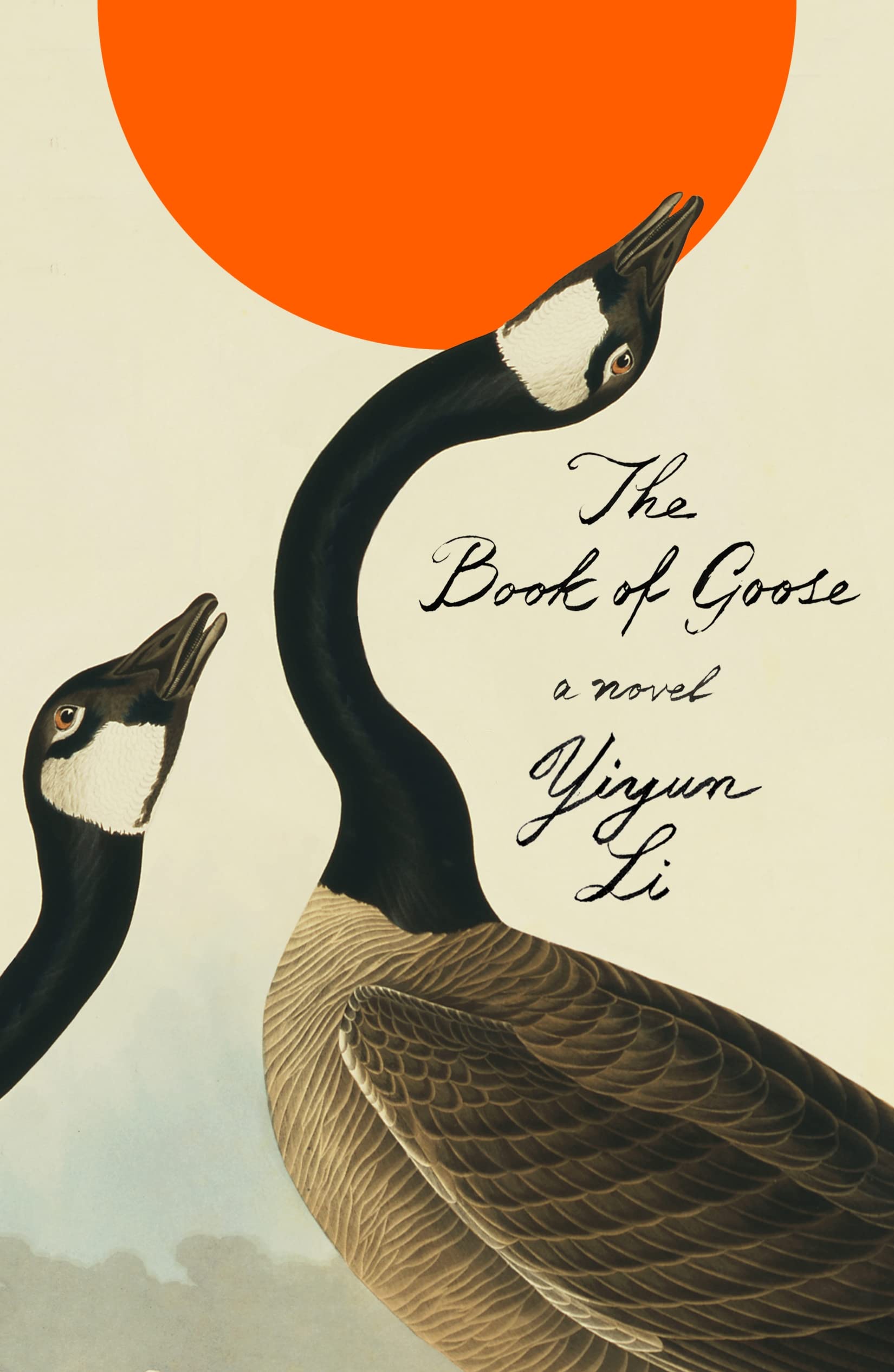 The Book Of Goose: A Novel-new