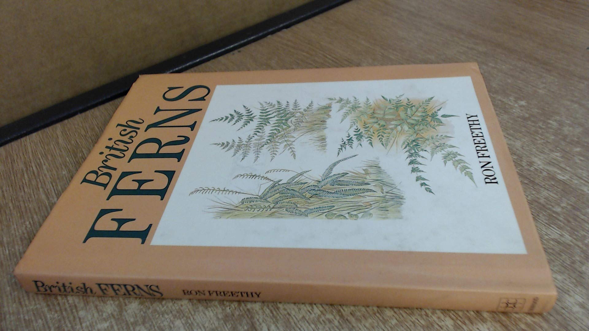 British ferns