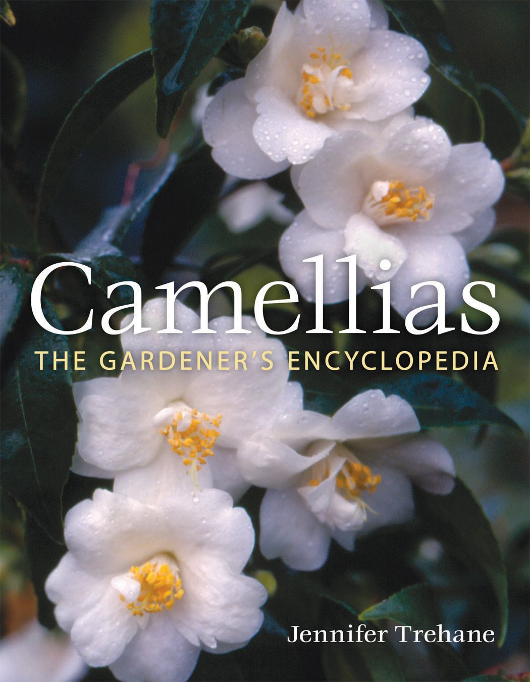 Camellias: The Gardener's Encyclopedia,Used