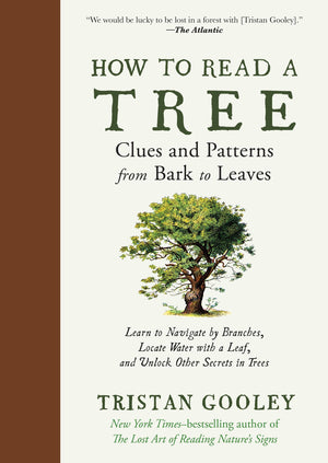 How To Read A Tree: Clues And Patterns From Bark To Leaves (Natural Navigation)