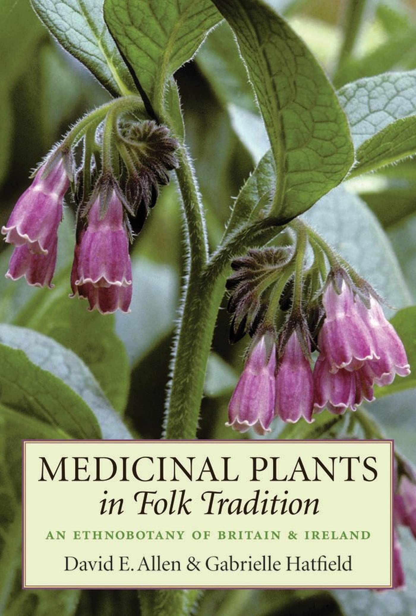 Medicinal Plants In Folk Tradition: An Ethnobotany Of Britain & Ireland
