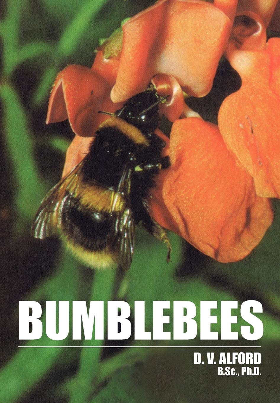 Bumble Bees,Used
