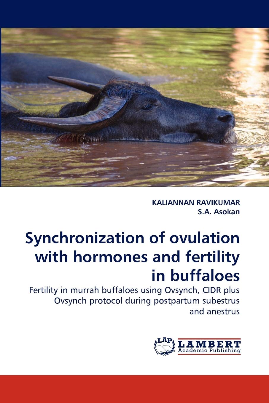 Synchronization of ovulation with hormones and fertility in buffaloes: Fertility in murrah buffaloes using Ovsynch, CIDR plus Ov,Used