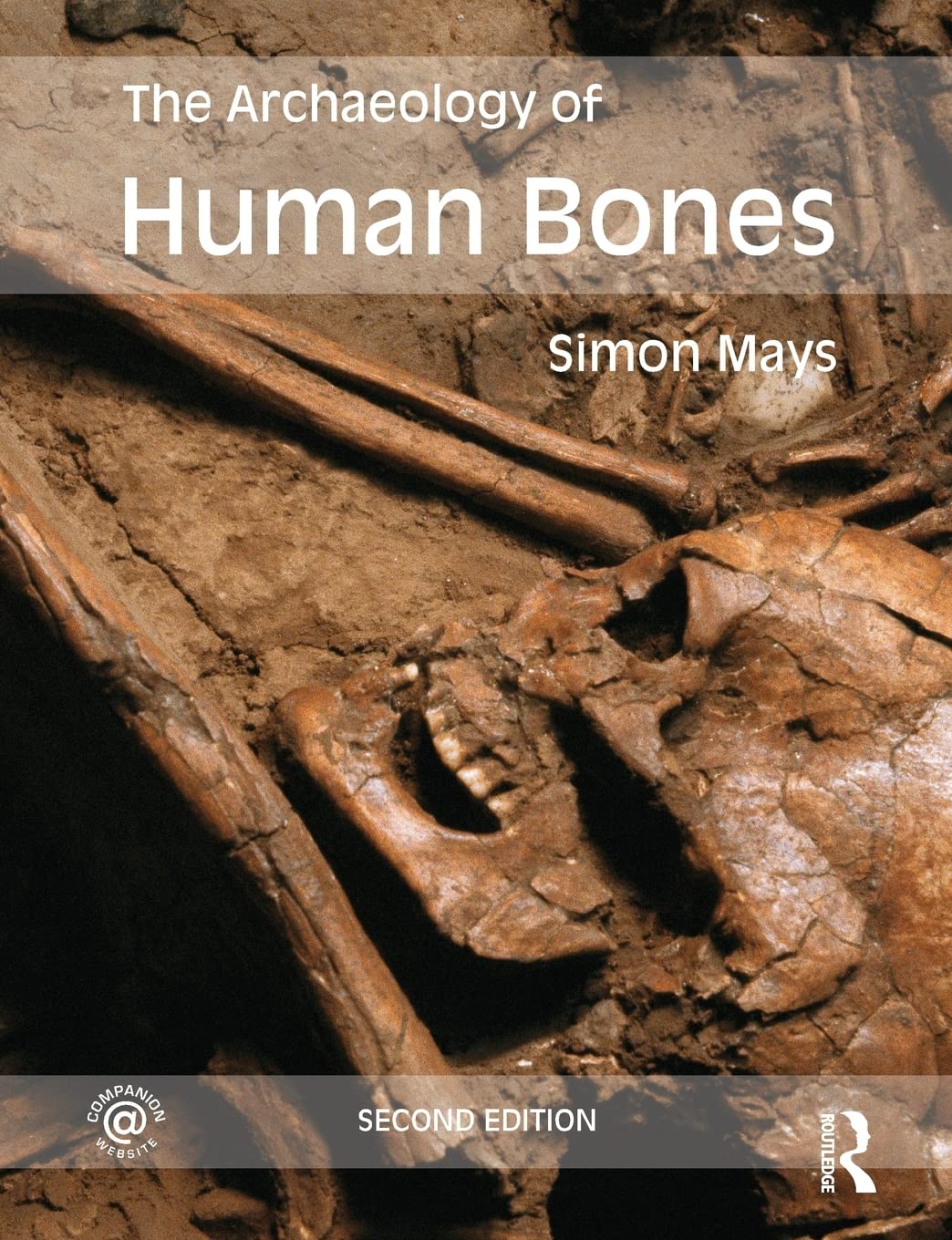 The Archaeology of Human Bones,Used