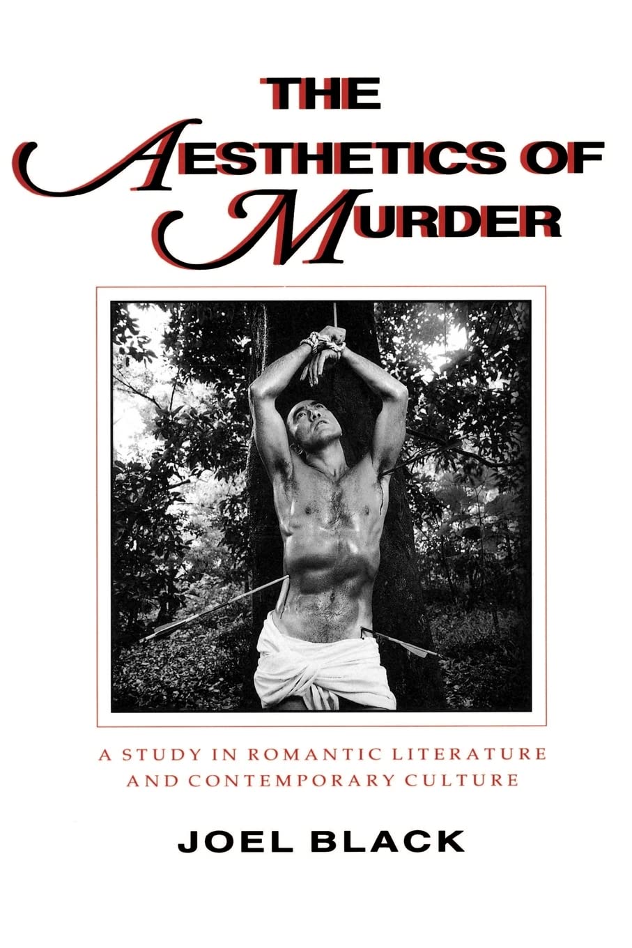 The Aesthetics of Murder: A Study in Romantic Literature and Contemporary Culture (Parallax: Revisions of Culture and Society)
