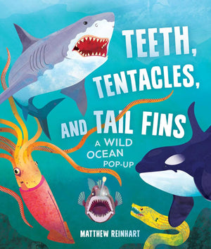 Teeth, Tentacles, And Tail Fins (Reinhart Popup Studio): A Wild Ocean Popup (Reinhart Studios) (Ocean Book For Kids, Shark Boo,Used