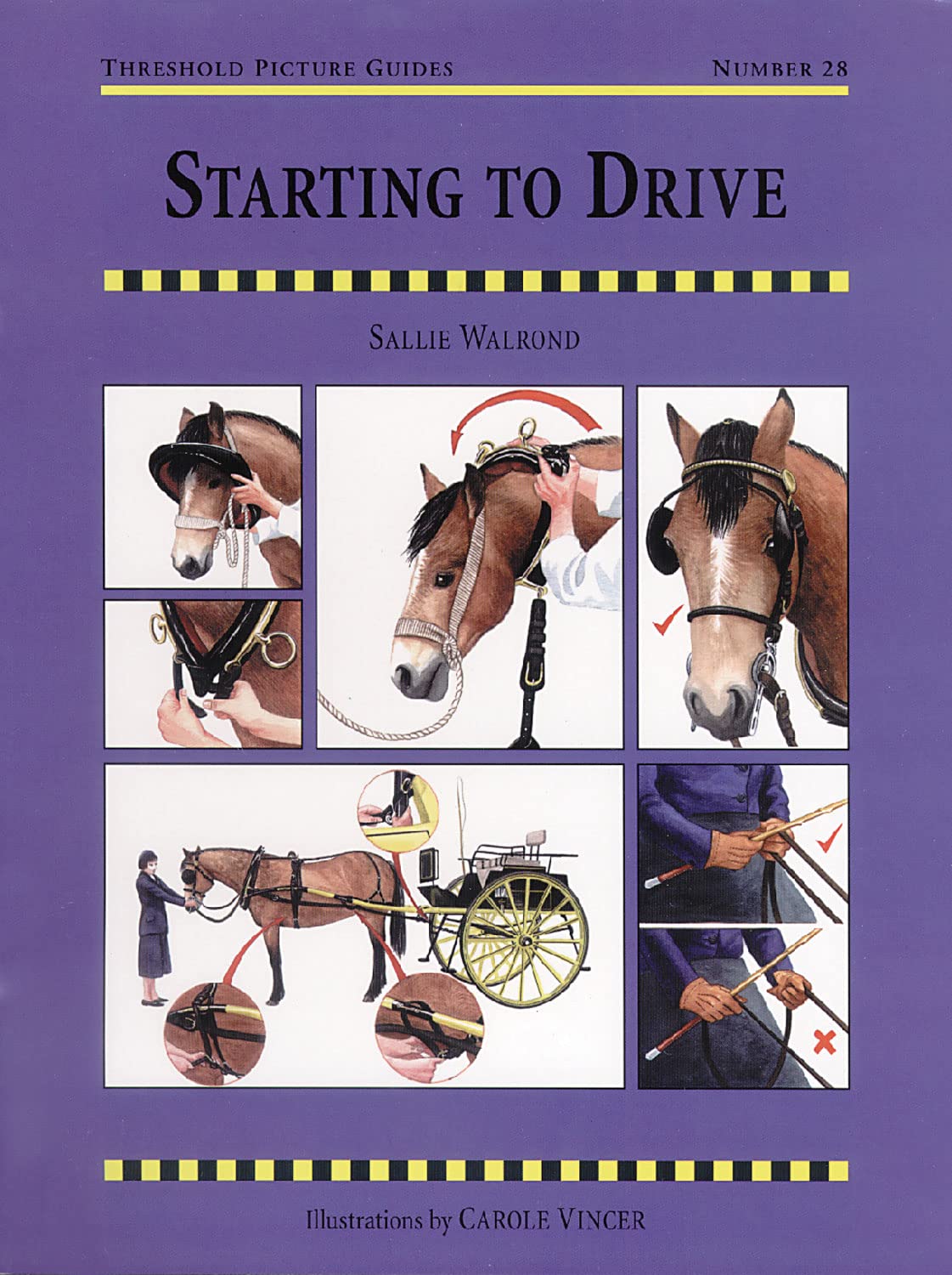 Starting to Drive (Threshold Picture Guides),Used