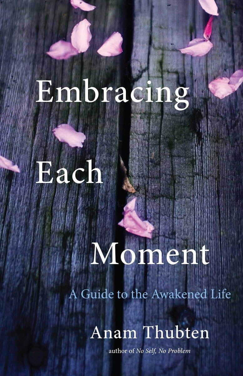 Embracing Each Moment: A Guide to the Awakened Life,Used