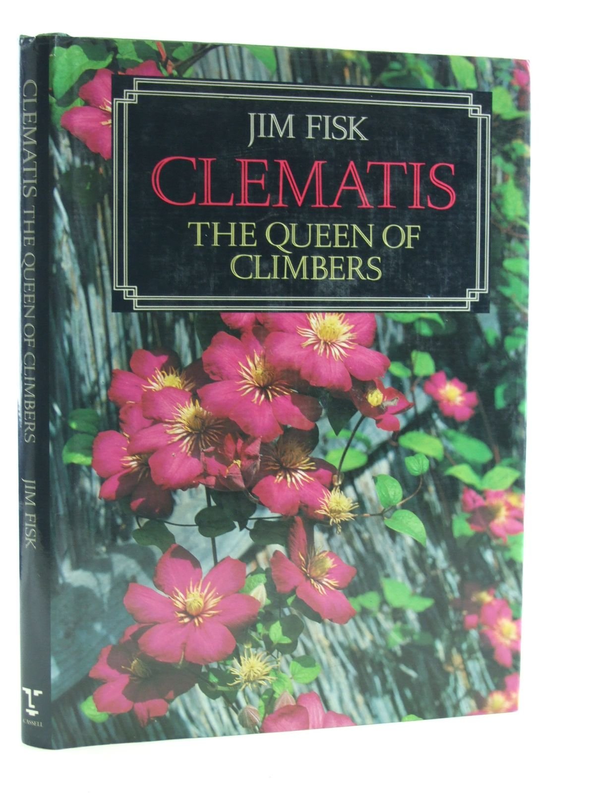 Clematis: The Queen of Climbers,Used