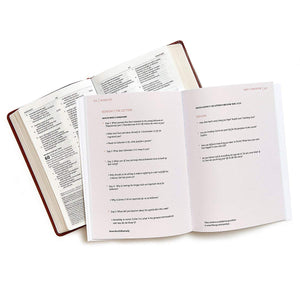 Seamless: Understanding the Bible as One Complete Story (Member Book),New
