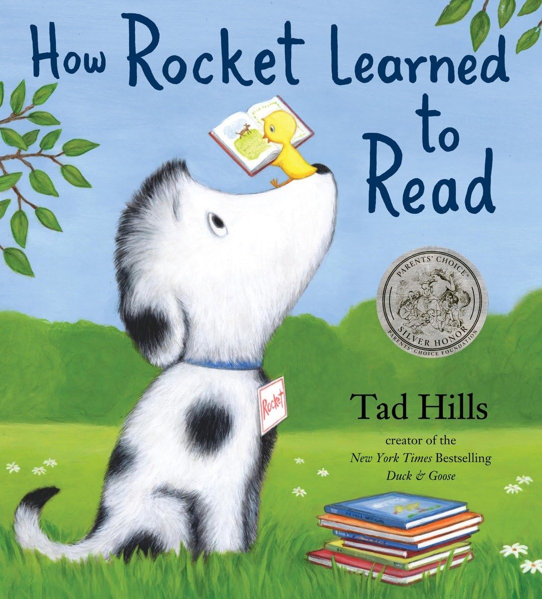 How Rocket Learned To Read,New