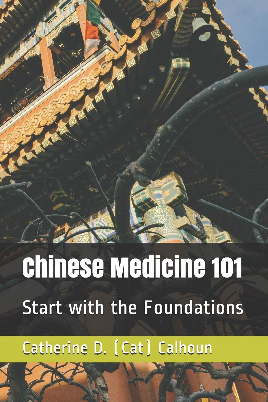 Chinese Medicine 101: Start with the Foundations (Chinese Medicine Basics),Used