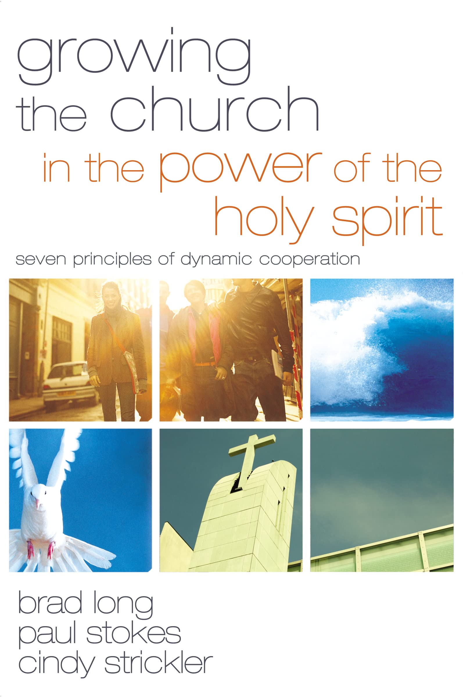 Growing the Church in the Power of the Holy Spirit: Seven Principles of Dynamic Cooperation,Used