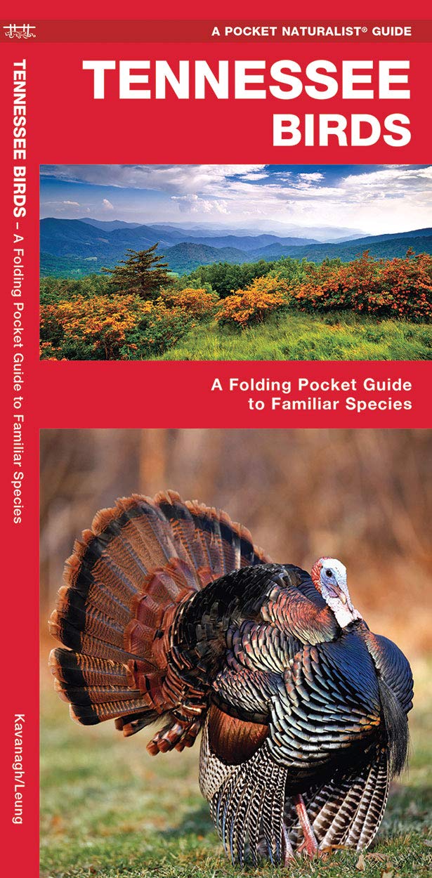 Tennessee Birds: A Folding Pocket Guide to Familiar Species (Wildlife and Nature Identification),Used