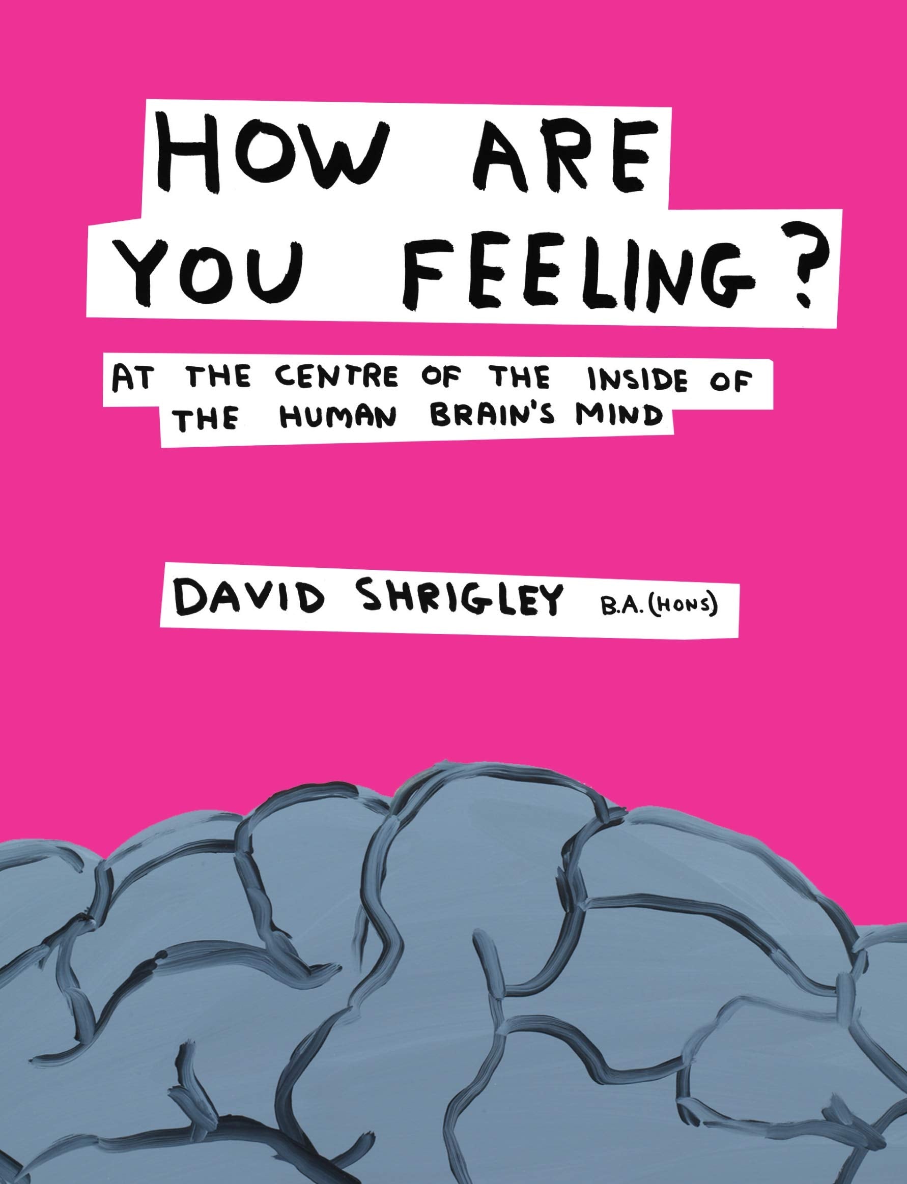 How Are You Feeling?: At the Centre of the Inside of The Human Brains Mind,Used