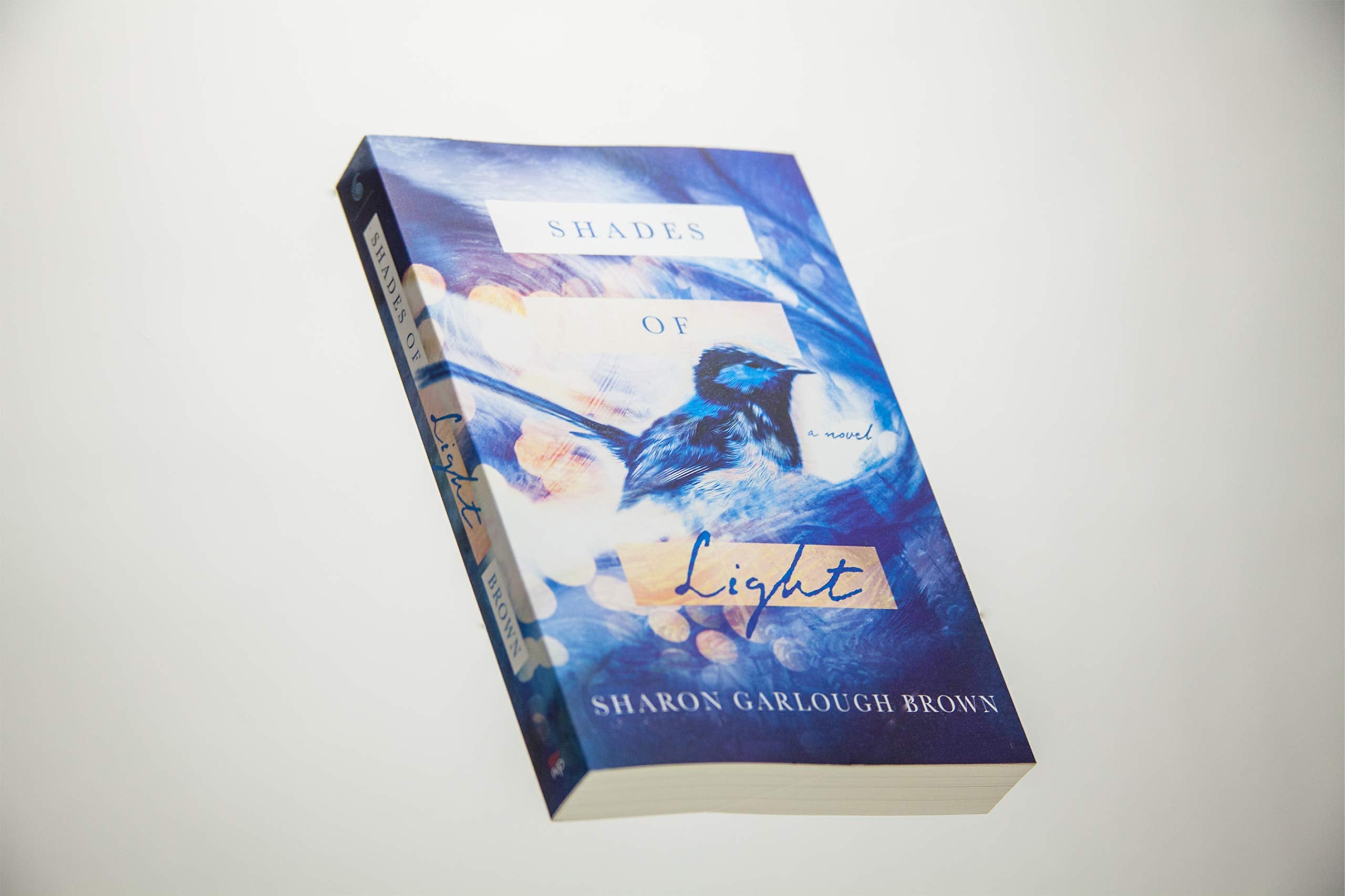 Shades of Light: A Novel,Used