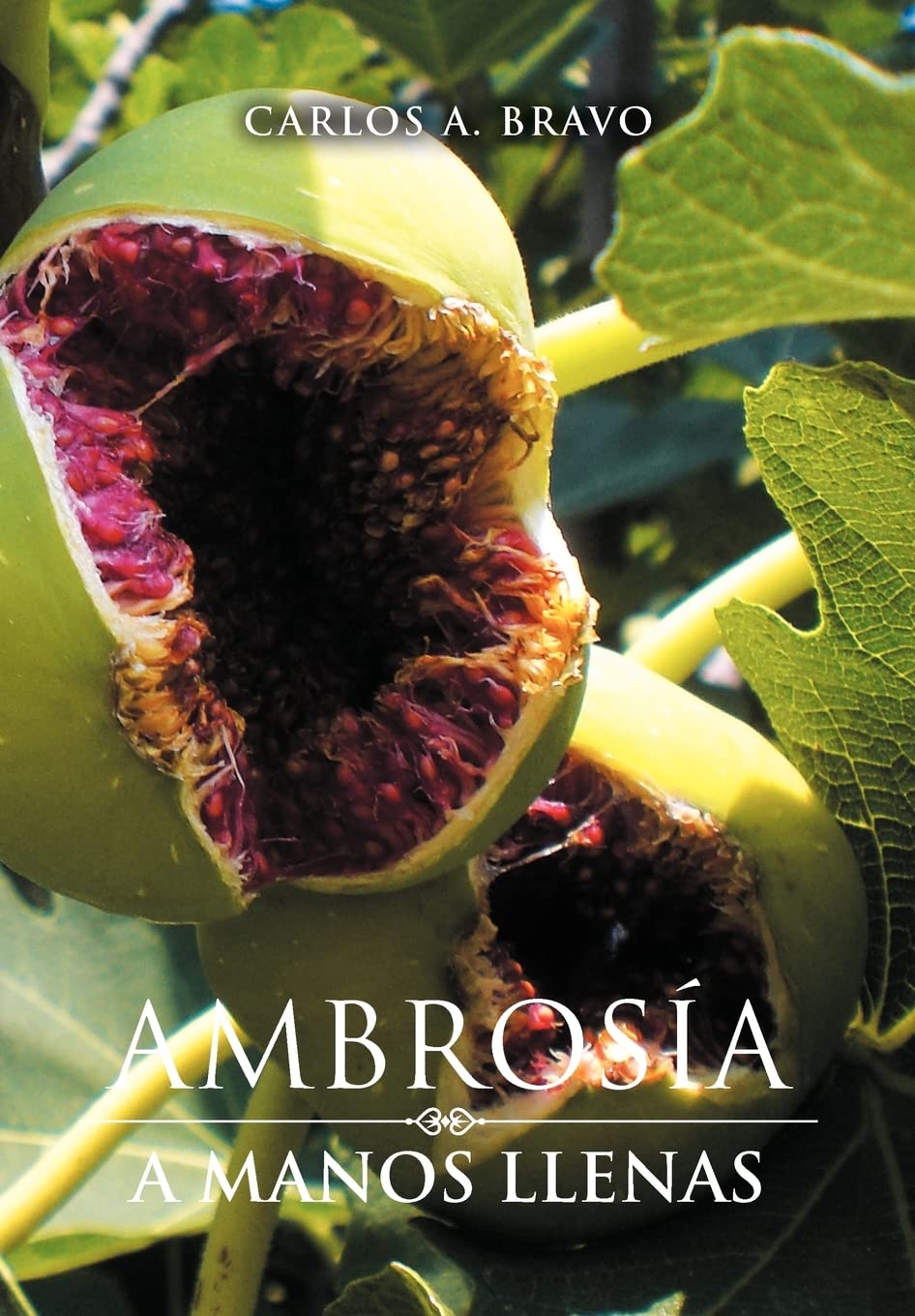 Ambrosia A Manos Llenas (Spanish Edition),Used