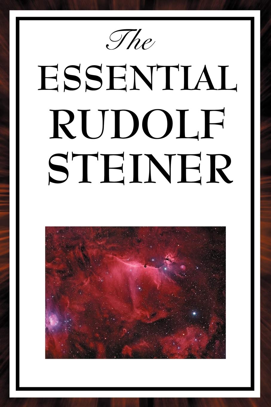 The Essential Rudolf Steiner,Used