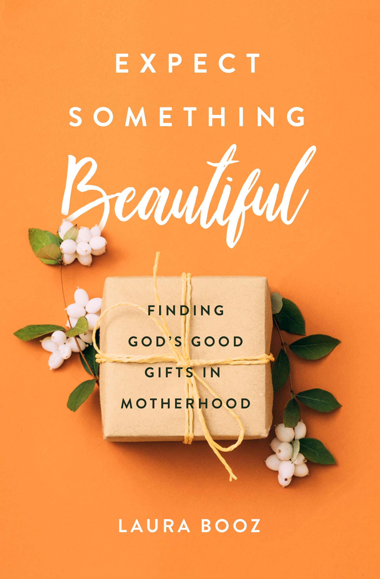 Expect Something Beautiful: Finding God's Good Gifts in Motherhood,Used
