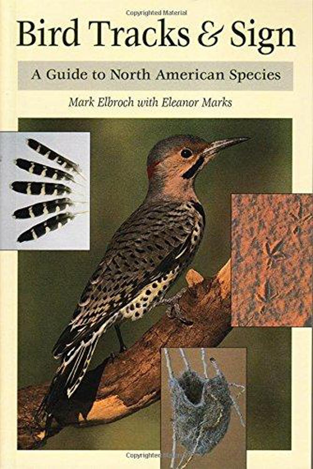Bird Tracks & Sign : A Guide to North American Species,Used