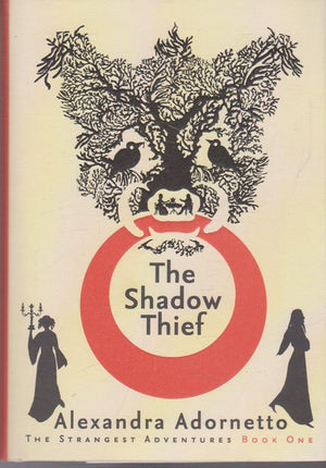 Shadow Thief,Used
