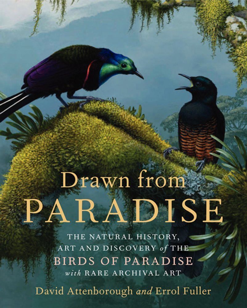Drawn from Paradise: The Natural History, Art and Discovery of the Birds of Paradise with Rare Archival Art,Used