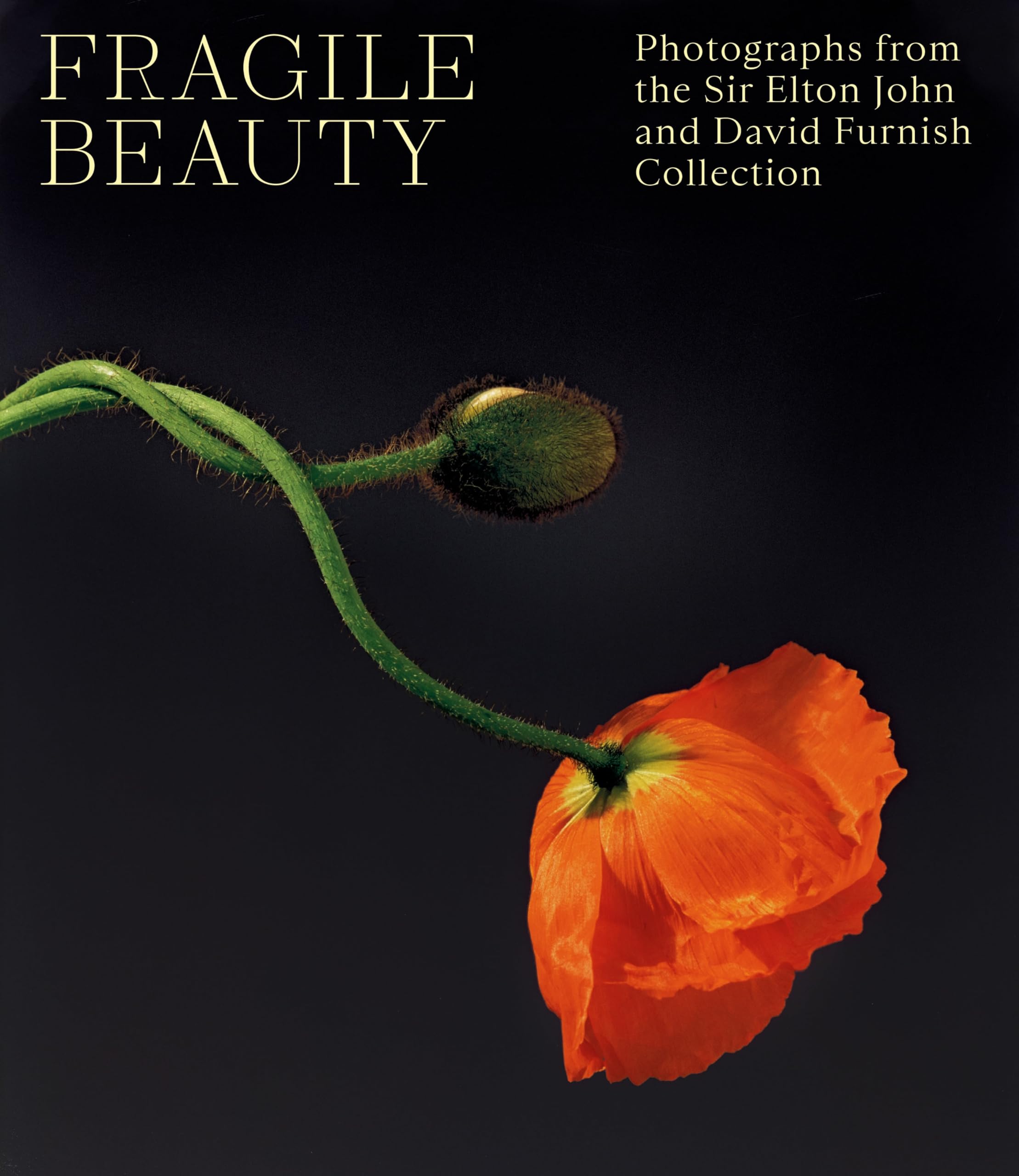 Fragile Beauty: Photographs from the Sir Elton John and David Furnish Collection,New