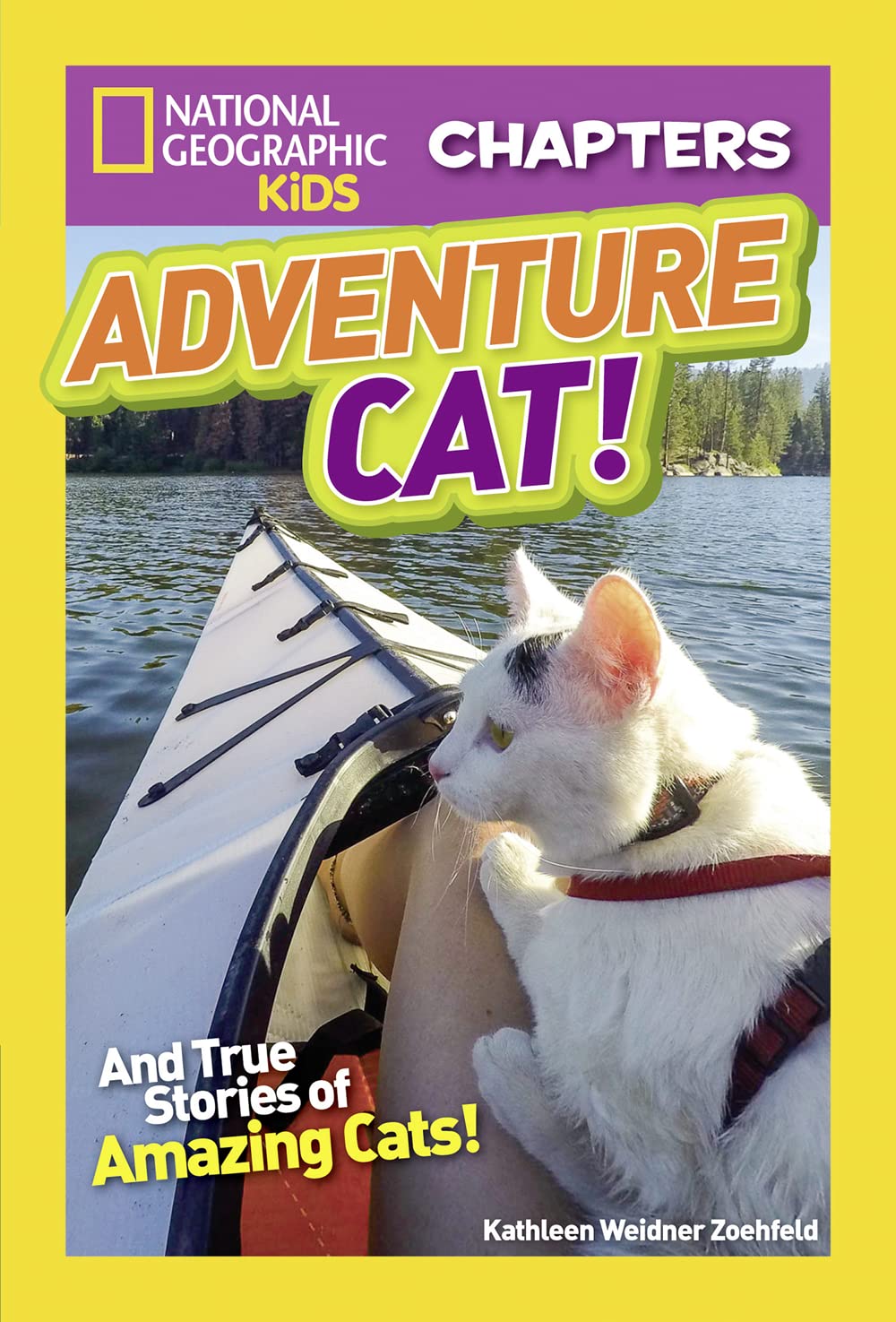 National Geographic Kids Chapters: Adventure Cat! (NGK Chapters),Used