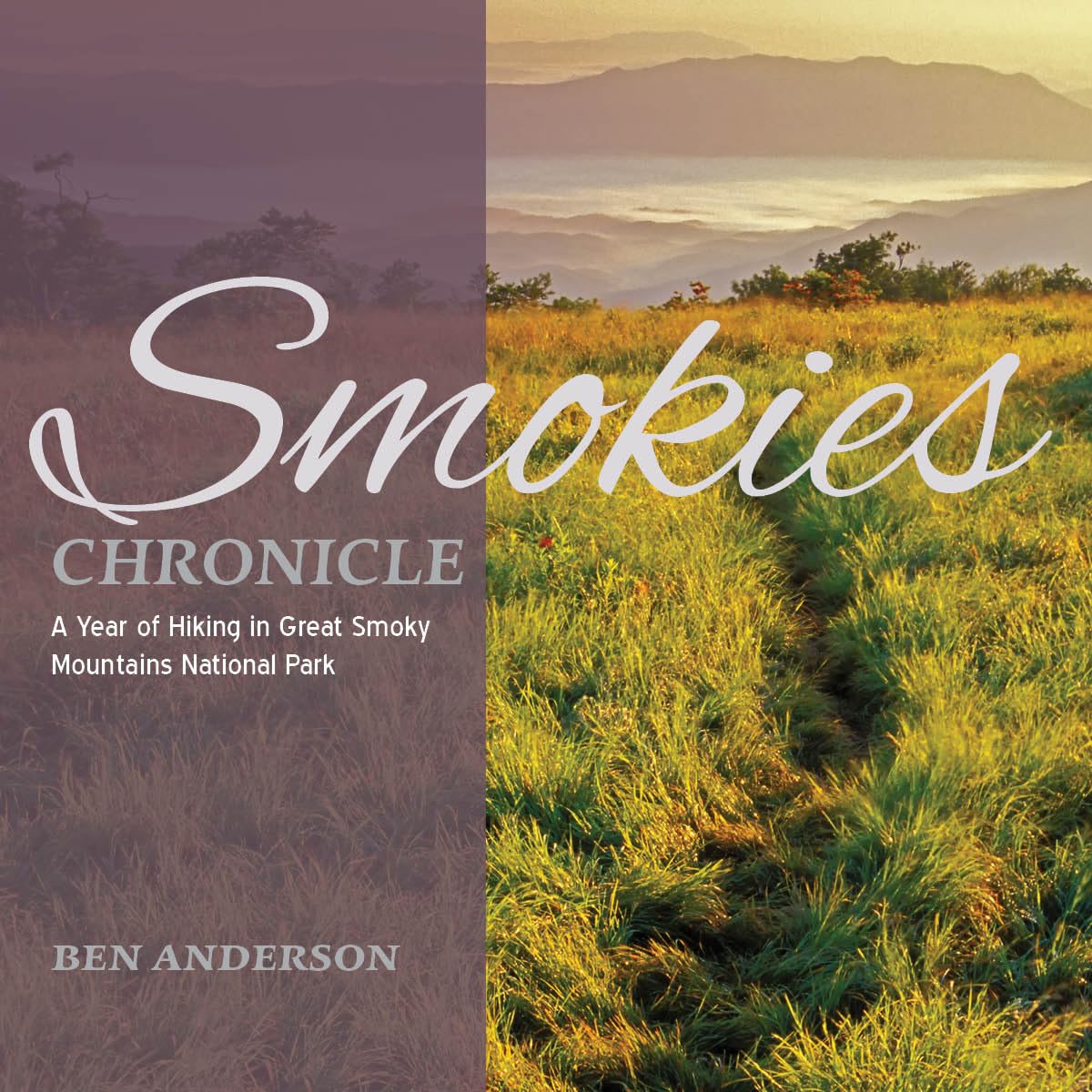 Smokies Chronicle: A Year of Hiking in Great Smoky Mountains National Park,Used
