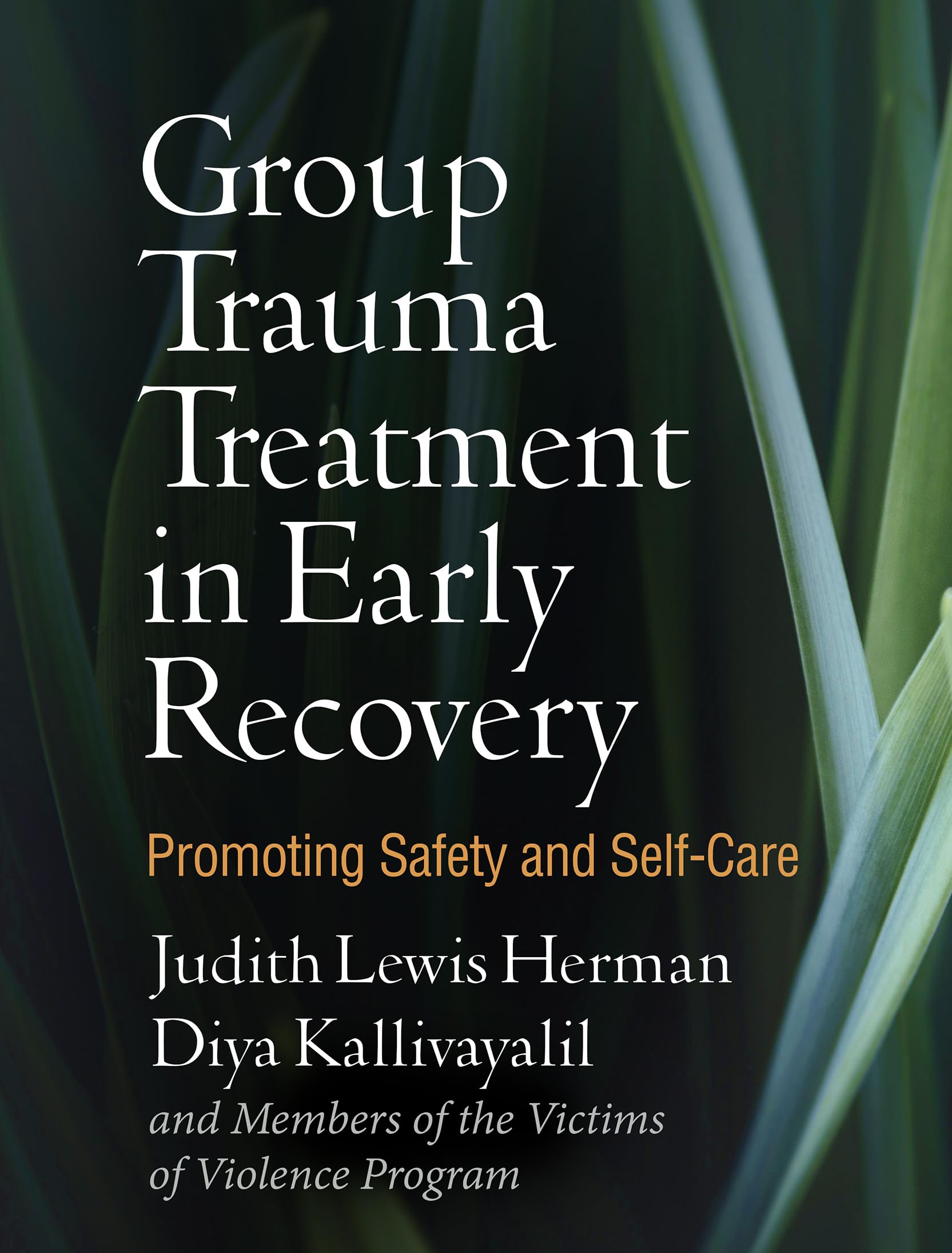 Group Trauma Treatment in Early Recovery: Promoting Safety and SelfCare,Used