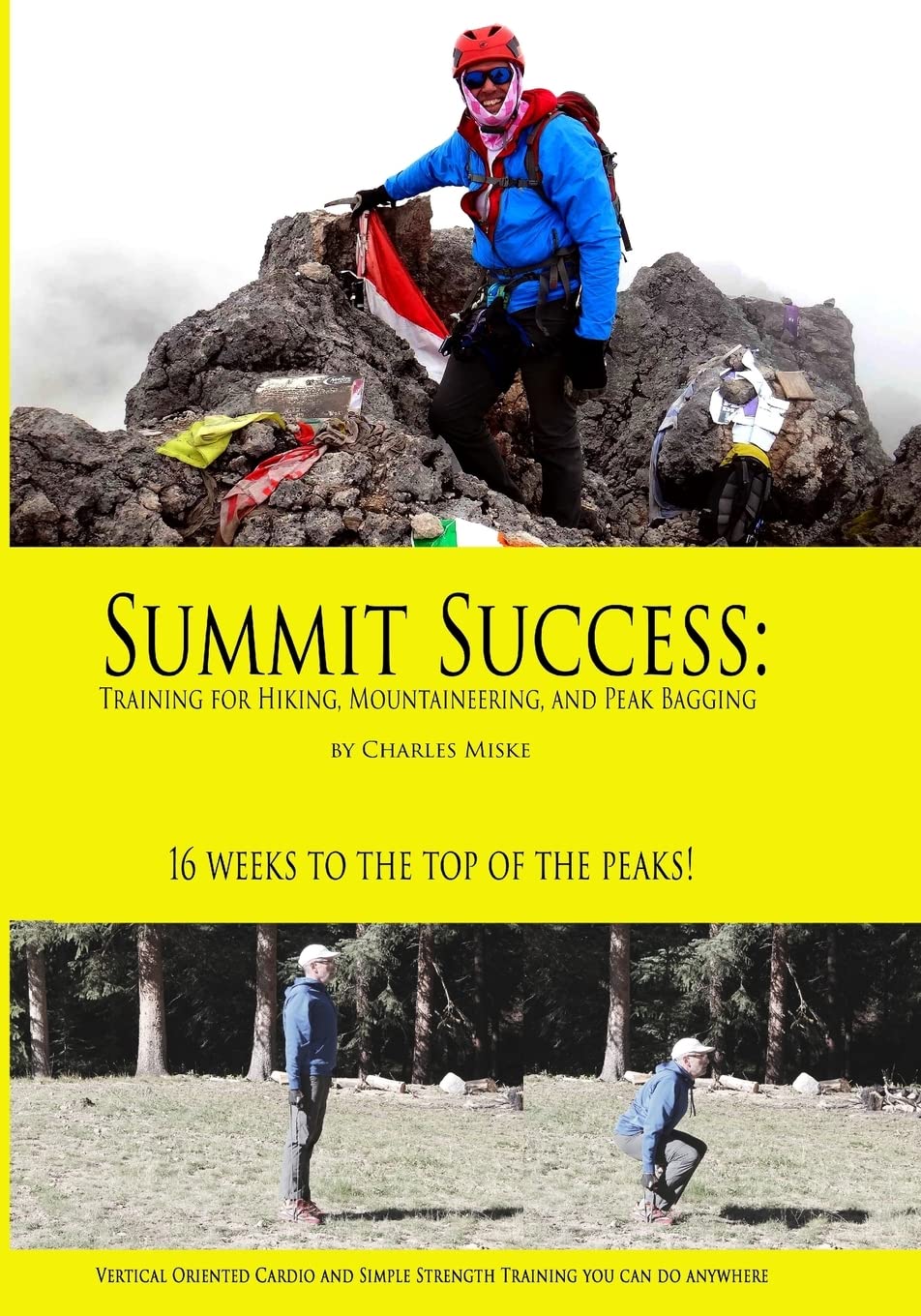 Summit Success: Training for Hiking, Mountaineering, and Peak Bagging,Used